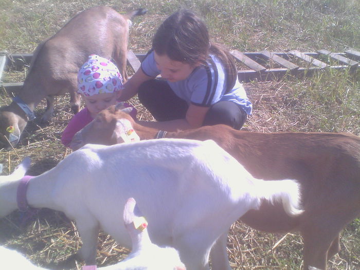 IMG_20140831_104630 - Copy