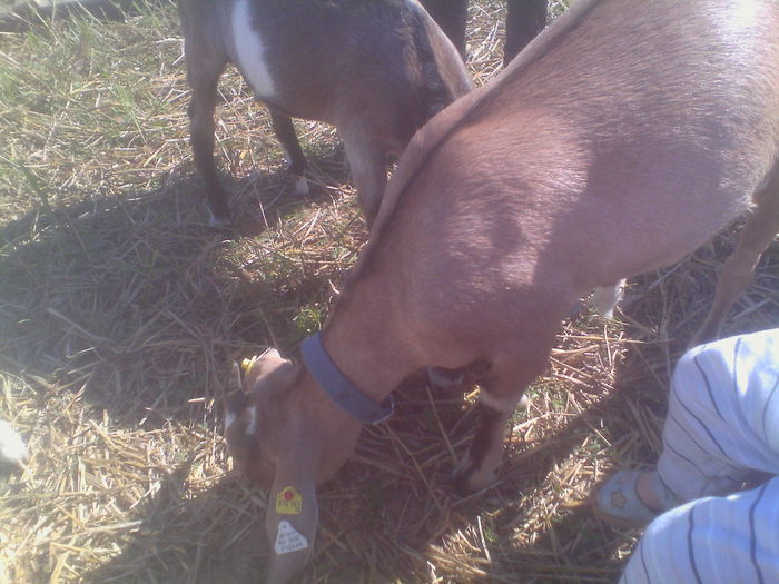 IMG_20140831_104738 - Copy