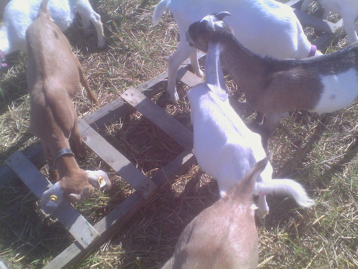 IMG_20140831_105652 - Copy