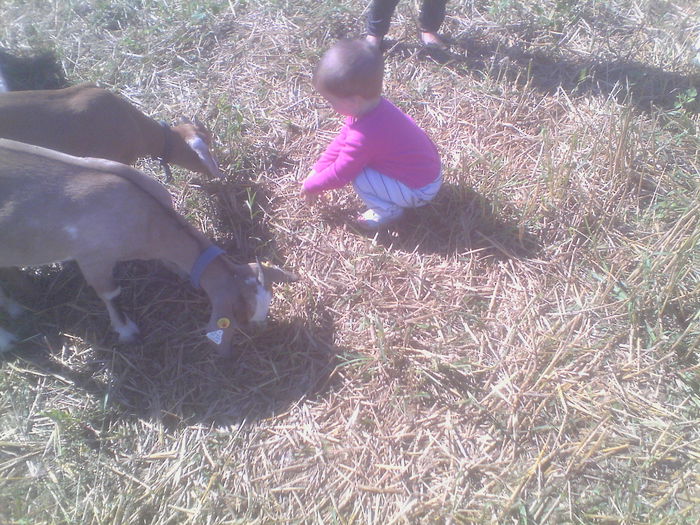 IMG_20140831_105915 - Copy