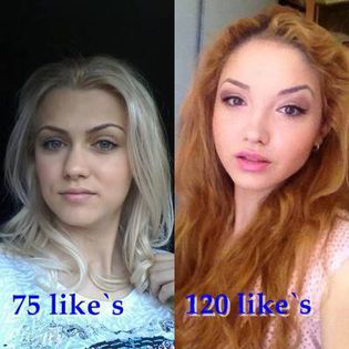 1779790_511363785639807_1457234193_n