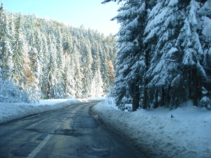  - Peisaje de iarna 2009 - 2010