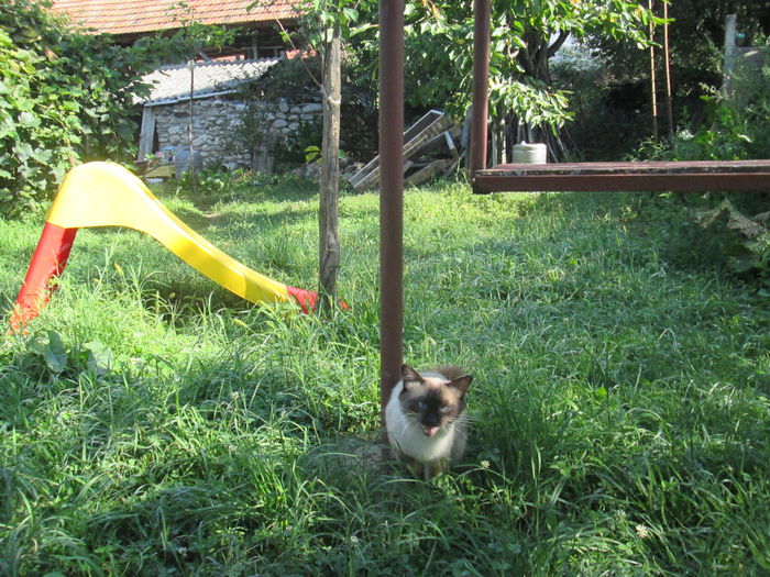 IMG_8401 - La tara in august 2014