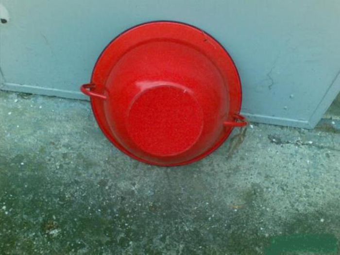 Vailing - 2-1  Regionalisme din MM