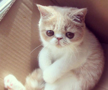 [Amandoi in cor] : TUUUUUUUUUU!! Nu sunt cu tine!!