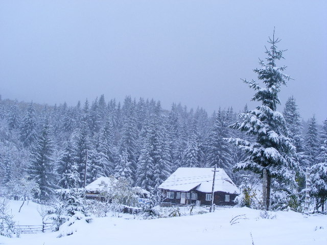 - Peisaje de iarna 2009 - 2010