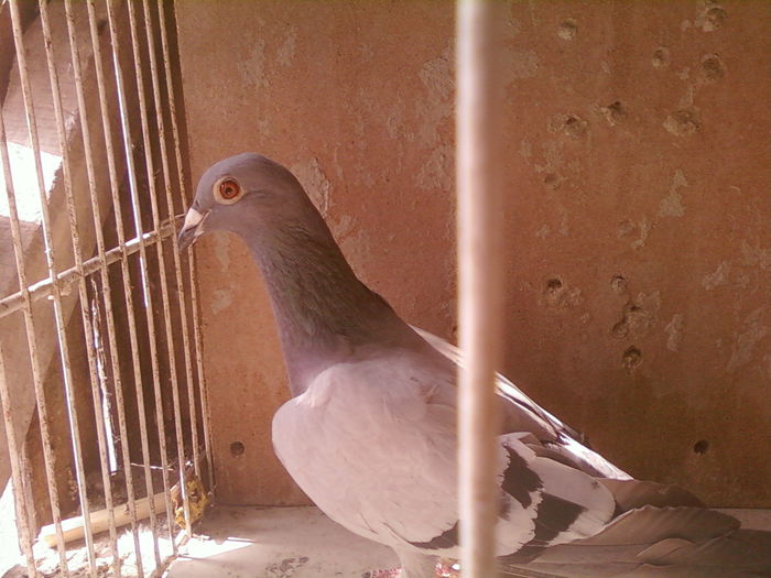 Fotografii-0023