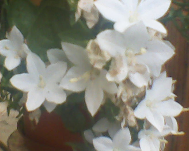 SUNP0034
