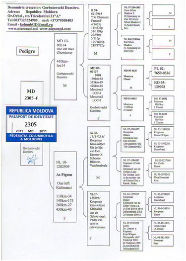 089-gorbatovschi-dumitru-md-3105-11-017-1