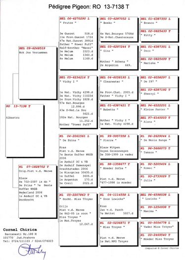 7138-13%20F_p - pedigree MATCA