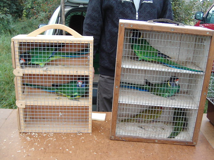 IMG_4537 - Copy - Copy