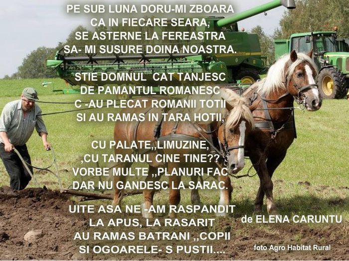 1546409_447395018736182_5642950441759580312_n - DE GUSTIBUS  ET COLORIBUS NON DISPUTANDUM