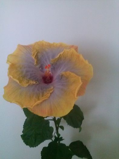 CAM00197