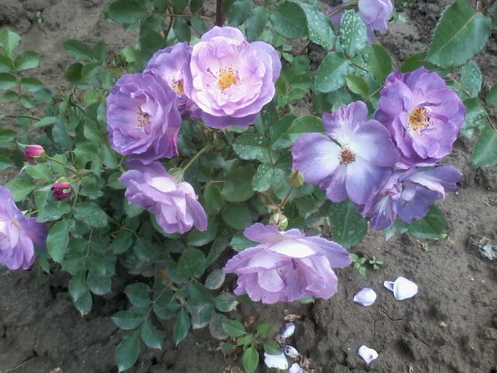 2014-07-10 16.51.37