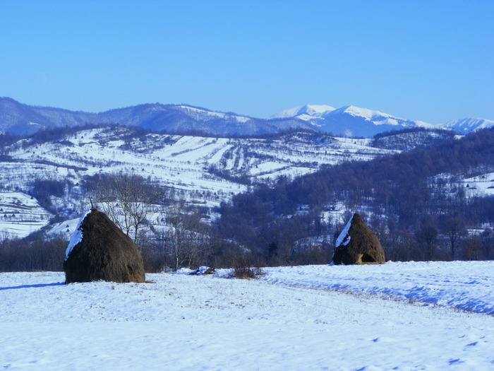  - Peisaje de iarna 2009 - 2010