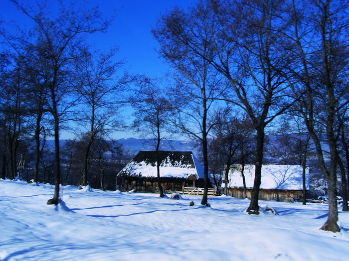  - Peisaje de iarna 2009 - 2010