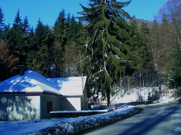  - Peisaje de iarna 2009 - 2010