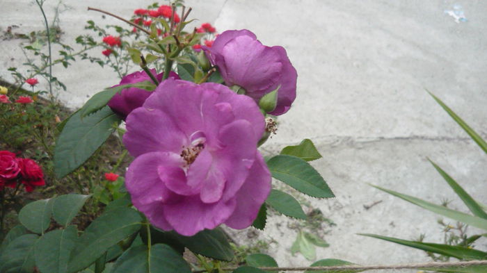 042