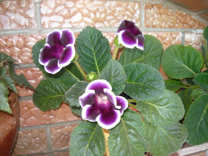046