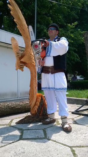 WP_20140607_045 - casa si gradina