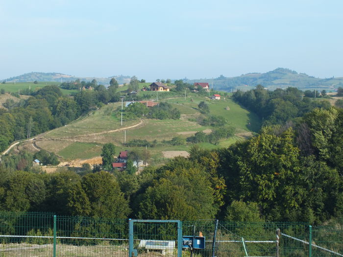 Poiana Marului din curtea lui Damian !