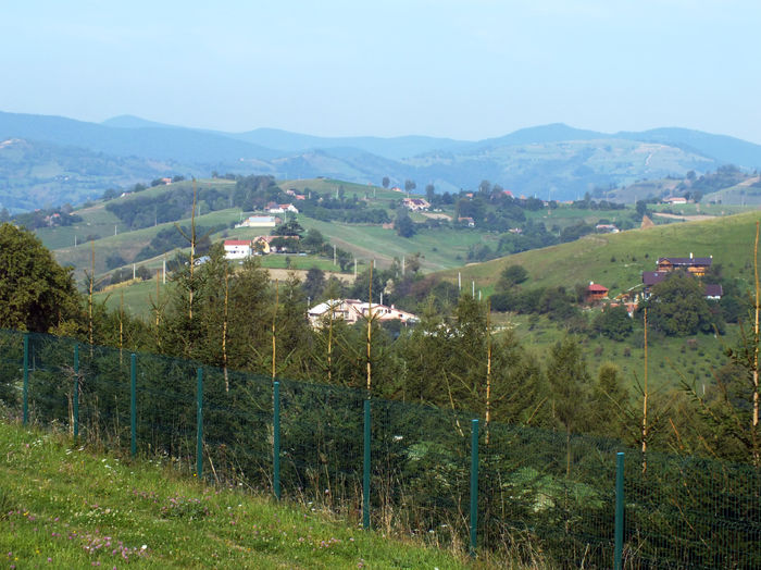 Poiana Marului din curtea lui Damian ! - Poiana Marului_in vizita la Damian