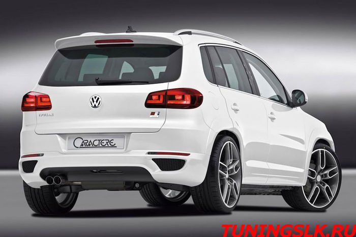 Tiguan (2)