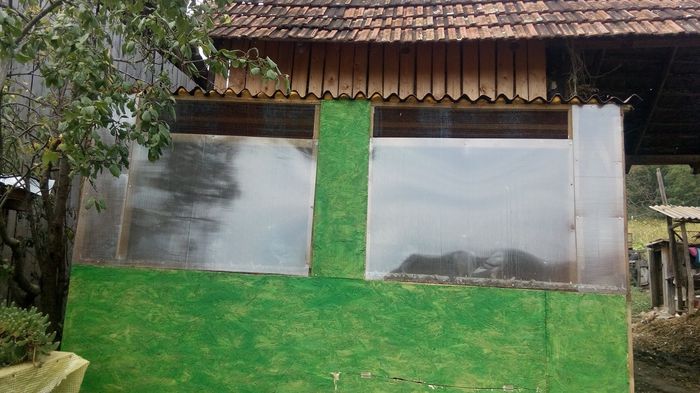 10682906_710428972377542_1759818257_o