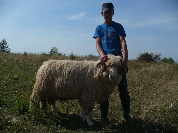 gusti 060