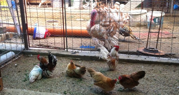 Screenshot - 9_15_2014 , 00_04_14