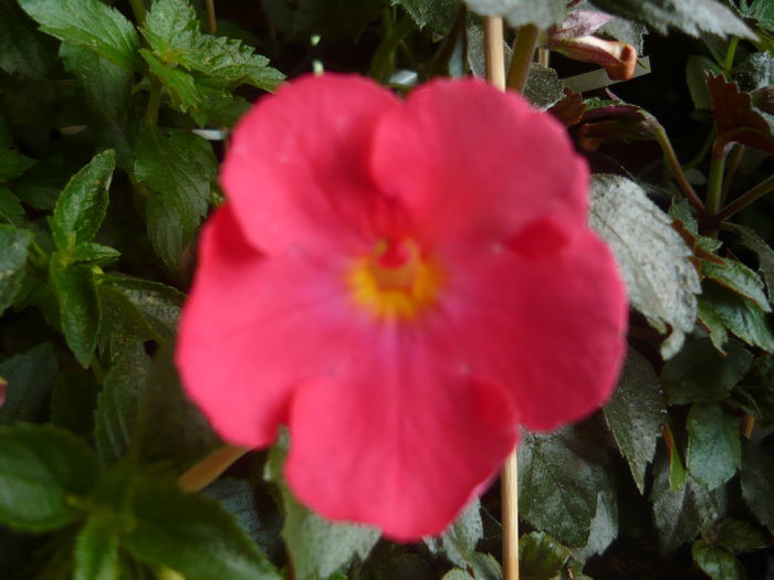 P1070599