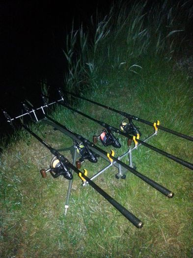 Night carpfishing !