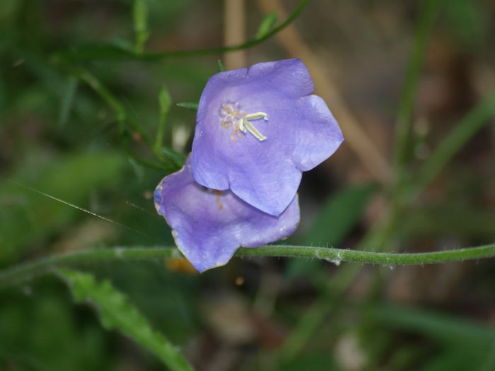 P8293922