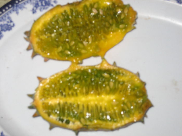 pictures 467 - kiwano
