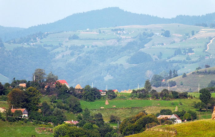 Case la Poiana Marului - Poiana Marului_in vizita la Damian