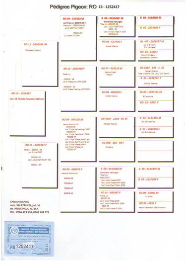 44-finala-480km-chilian-daniel-ro13-1252417-f-ss-02-06-13 - PEDIGREE