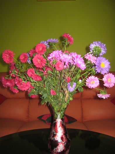 Picture My plants 1273