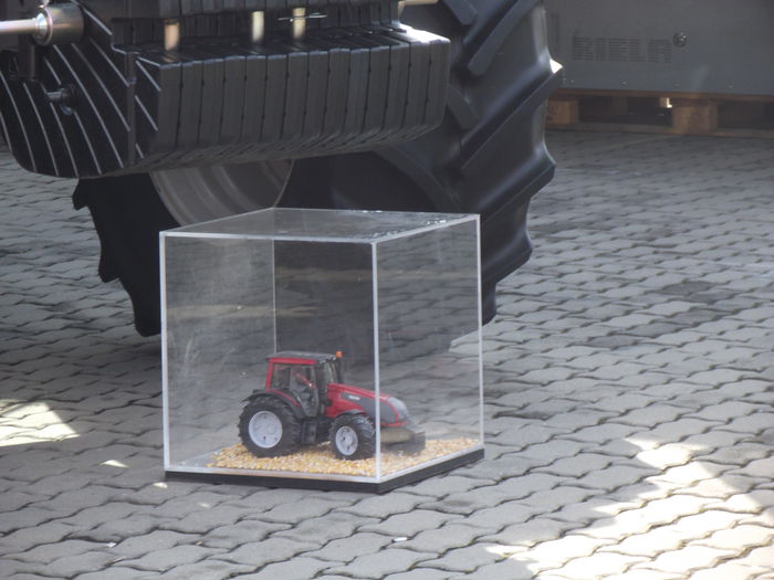 DSCF0725 - 5---expozitie agricola arad 2014