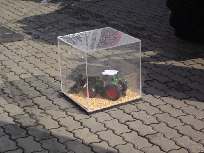 DSCF0726 - 5---expozitie agricola arad 2014