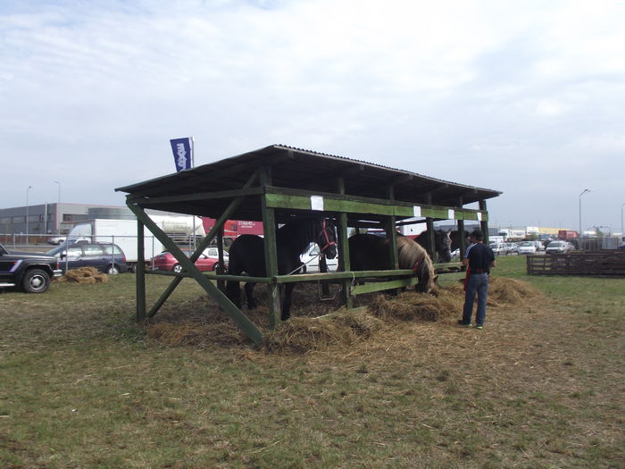 DSCF0746 - 5---expozitie agricola arad 2014