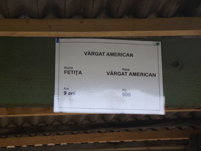 DSCF0748 - 5---expozitie agricola arad 2014