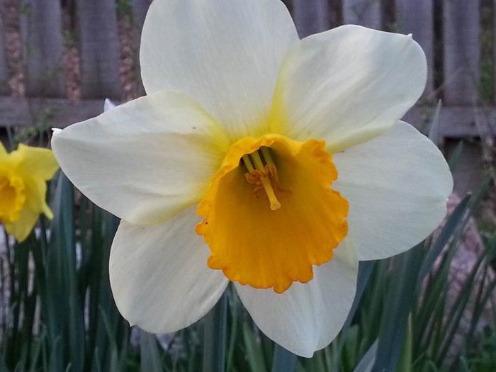 20140329_183441 - PRIMAVARA