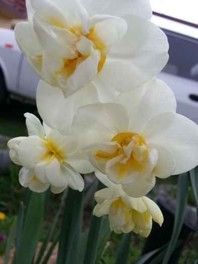 20140411_164017
