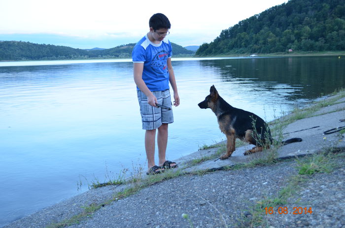 La Barajul Tautz - German Shepherd Dog