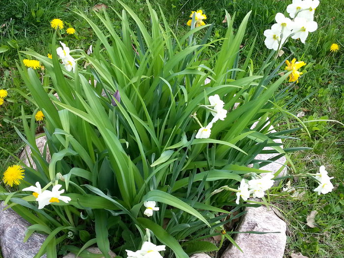 20140413_141140
