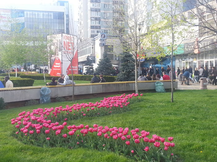 20140413_180838 - PRIMAVARA
