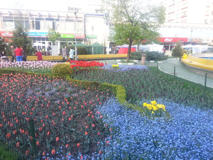 20140413_180951 - PRIMAVARA