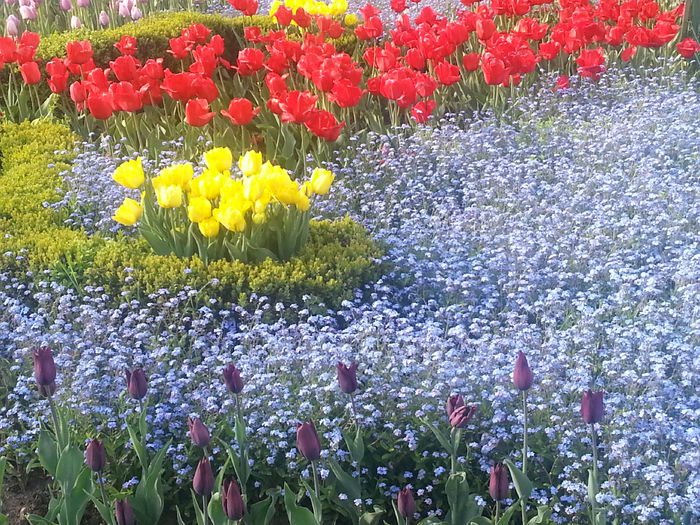 20140413_181051 - PRIMAVARA
