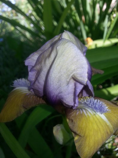 20140421_101533