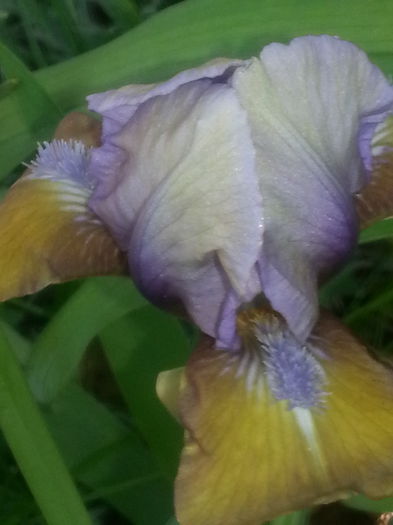 20140421_101626